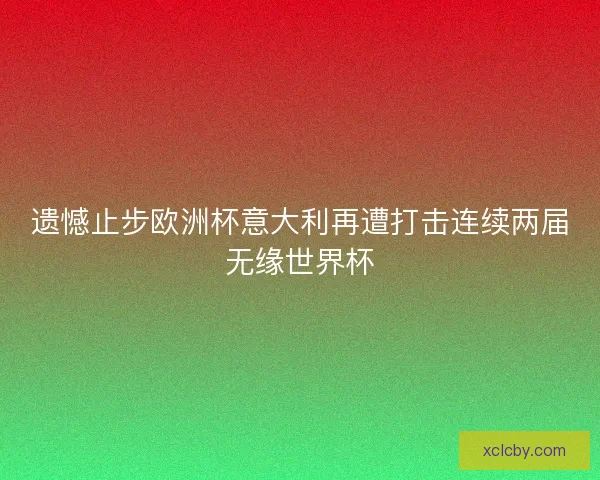 遗憾止步欧洲杯意大利再遭打击连续两届无缘世界杯